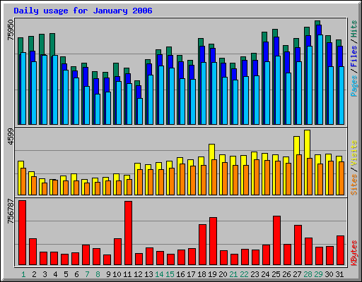 Daily usage for January 2006