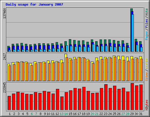 Daily usage for January 2007