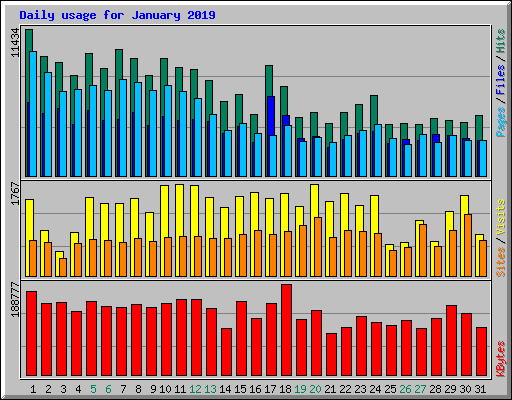 Daily usage for January 2019