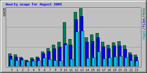 Hourly usage for August 2005