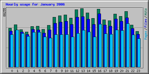 Hourly usage for January 2006