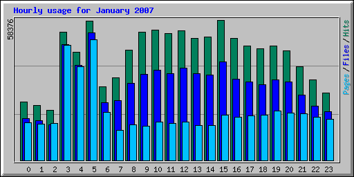 Hourly usage for January 2007