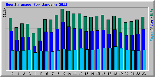 Hourly usage for January 2011