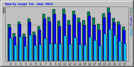 Hourly usage for June 2013