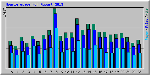 Hourly usage for August 2013