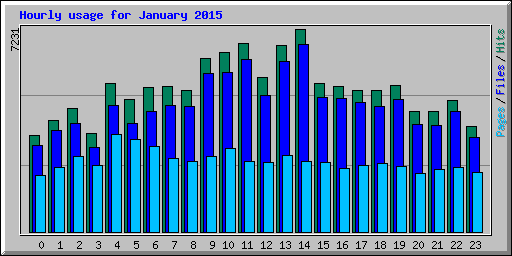 Hourly usage for January 2015