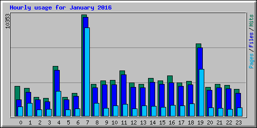 Hourly usage for January 2016