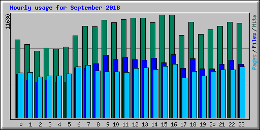 Hourly usage for September 2016