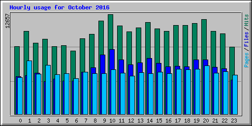 Hourly usage for October 2016