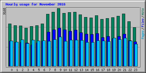 Hourly usage for November 2016