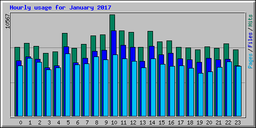 Hourly usage for January 2017