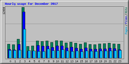 Hourly usage for December 2017