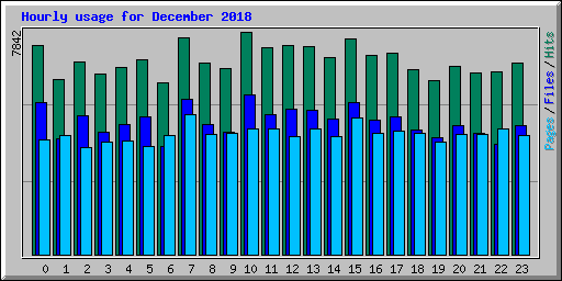 Hourly usage for December 2018