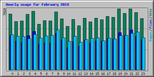 Hourly usage for February 2019