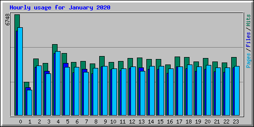 Hourly usage for January 2020